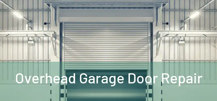  Overhead Garage Door Repair 